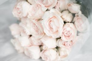 Pale pink roses in a bunch.jpg